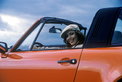 Porsche Targa Generationen
