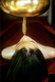 Ananda – In the Himalayas: Anti-Stress-Programm