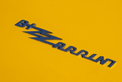 Bizzarrini 5300 GT America 