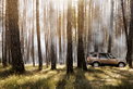 New Range Rovers