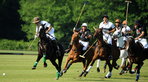 Polo Club St. Tropez: Hippocampus 2009 Polo Club St. Tropez: Hippocampus 2009