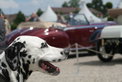 Retro Classics meets Barock 2009: Rückblick Retro Classics meets Barock 2009: Rückblick