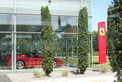 Dealer’s Choice: Tamsen empfiehlt Ferrari 575M Superamerica F1 Dealer’s Choice: Tamsen empfiehlt Ferrari 575M Superamerica F1