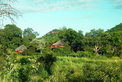 Ulusaba Game Reserve: Expedition ins Tierreich
