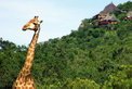 Ulusaba Game Reserve: Expedition ins Tierreich