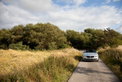 BMW Z4 sDrive30i: Frische Brise BMW Z4 sDrive30i: Frische Brise