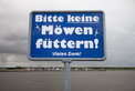 BMW Z4 sDrive30i: Frische Brise BMW Z4 sDrive30i: Frische Brise