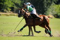 Int. Polo Cup St. Tropez 2009: Victory for Pakistan Int. Polo Cup St. Tropez 2009: Victory for Pakistan