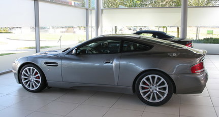 Dealer’s Choice: Tamsen empfiehlt...