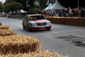 Hamburger Stadtpark-Revival 2009