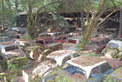Oldtimer Galerie Toffen versteigert Schweizer Autofriedhof