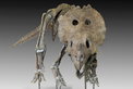 Bonhams versteigert T-Rex „Samson“ in Las Vegas Bonhams versteigert T-Rex „Samson“ in Las Vegas
