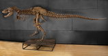 Bonhams versteigert T-Rex „Samson“ in Las Vegas Bonhams versteigert T-Rex „Samson“ in Las Vegas