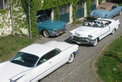 Händlerportrait: Car Collection Wittner