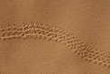 Wüste Geschichte – Teil 2 Wüste Geschichte – Teil 2