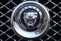 Jaguar XJ: Jag-Instinkt Jaguar XJ: Jag-Instinkt