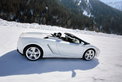 Indigo trifft Lamborghini: Schwarz-Weiß-Kombination