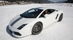Valentino Balboni: Der mit dem Stier tanzt Valentino Balboni: Der mit dem Stier tanzt