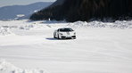 Valentino Balboni: Der mit dem Stier tanzt Valentino Balboni: Der mit dem Stier tanzt