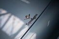 Bentley Continental Flying Star by Touring