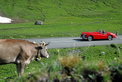 British Classic Car Meeting St. Moritz 2010: Rückblick
