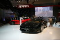 Salon-Report 2010: Perlentauchen in Paris