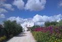 Masseria Torre Coccaro: Refugium im Olivenland Masseria Torre Coccaro: Refugium im Olivenland