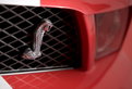 2005 Shelby Cobra GT500 2005 Shelby Cobra GT500