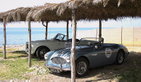 2005 Giro di Sicilia – Targa Florio 2005 Giro di Sicilia – Targa Florio