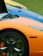 Concorso Italiano 2005 - Best of Show Concorso Italiano 2005 - Best of Show