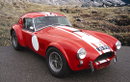 Historic Cobra to be auctioned next year