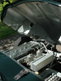 The  C-Type from Enduro