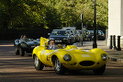 Jaguars loose in London
