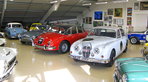New Showroom for Classic Jaguars New Showroom for Classic Jaguars
