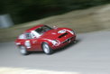 The 2008 Goodwood Festival of Speed