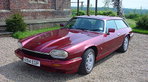 Modern Classics: Lynx Eventer Modern Classics: Lynx Eventer