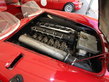 Ancient Alfas at Goodwood Ancient Alfas at Goodwood