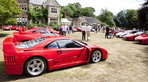 Foskers Concours and Garden Party at Ightham Warren