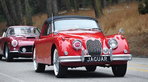 The 2010 Pebble Beach Tour d’Elegance Presented by Rolex