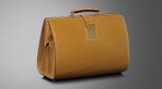 The Bailey Lawyers’ Case From Tanner Krolle The Bailey Lawyers’ Case From Tanner Krolle