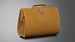 The Bailey Lawyers’ Case From Tanner Krolle The Bailey Lawyers’ Case From Tanner Krolle