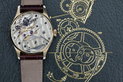 Big Pateks at Small(ish) Prices Big Pateks at Small(ish) Prices