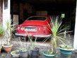 Aston Martin DB6 Vantage 1968 Aston Martin DB6 Vantage 1968