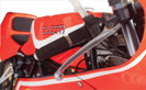 Ducati TT2 Prototipo di Saltarelli 1981 Ducati TT2 Prototipo di Saltarelli 1981