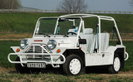 Austin Mini Moke Moke 1993
