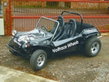VW Beetle Buggy - EPC Hustler ''The Wolfrace Car'' 1961 VW Beetle Buggy - EPC Hustler ''The Wolfrace Car'' 1961