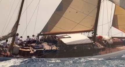large_295651.jpg
