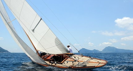 medium_3303.jpg