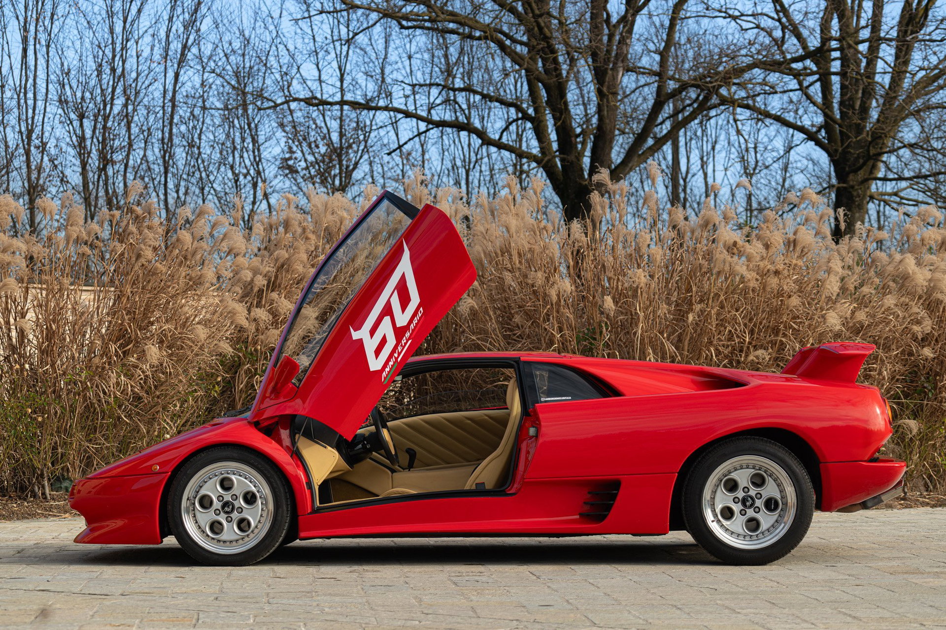 1993 Lamborghini Diablo, foto 10