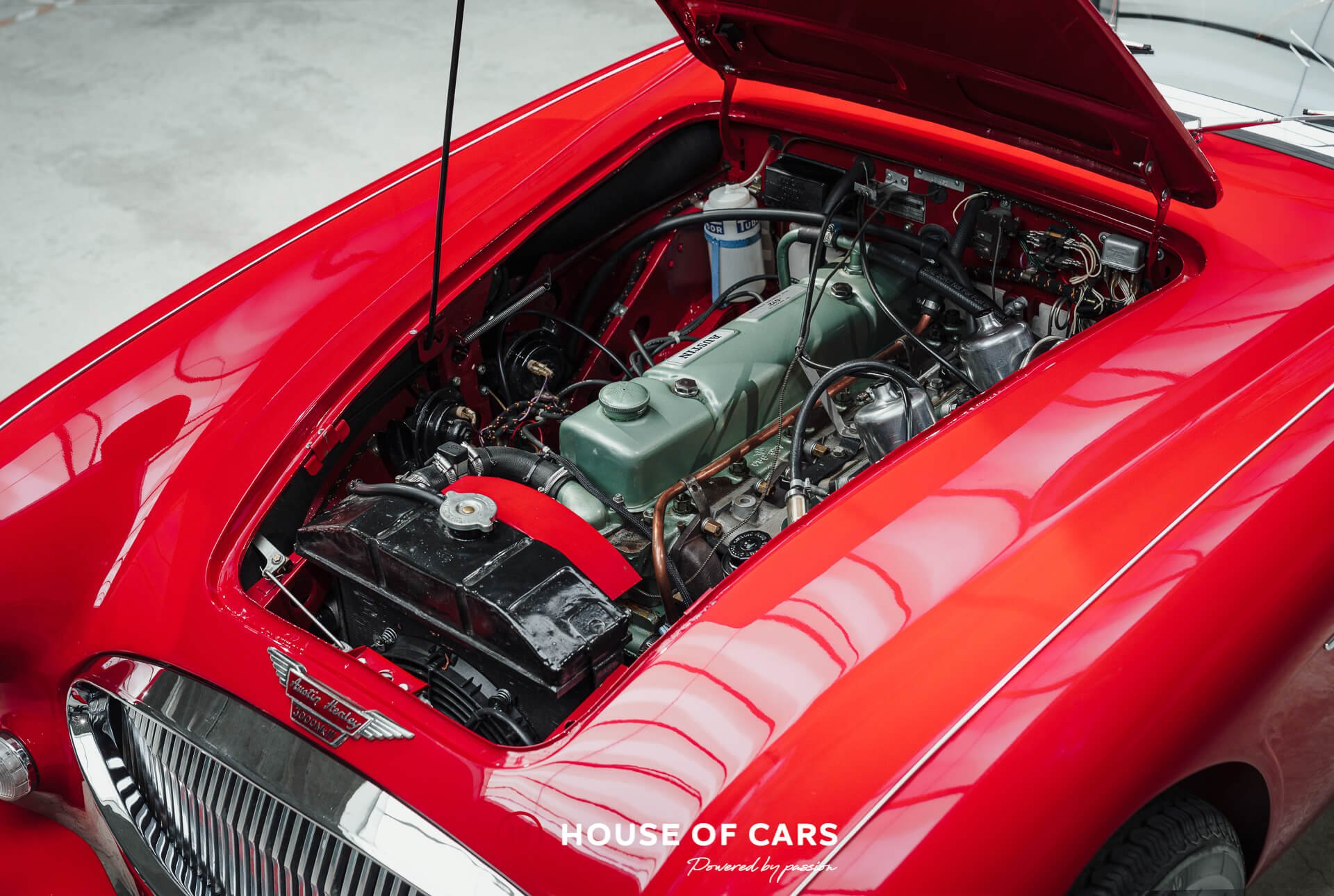 1967 Austin-Healey 3000 - MkIII BJ8 - Nut-and-bolt restoration, foto 12